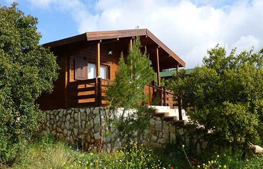 Mountain Breeze Resort